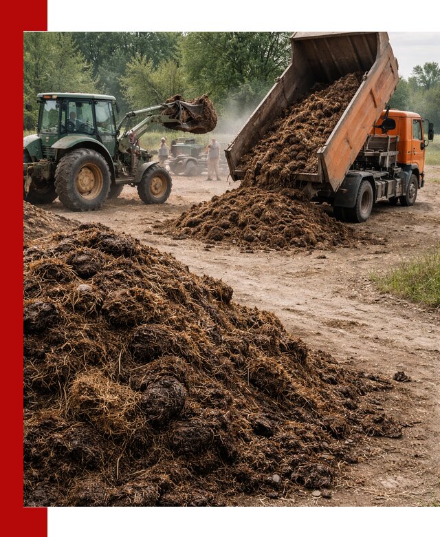 Доставка навоза самосвалами в Благовещенске для сельхозпотребностей